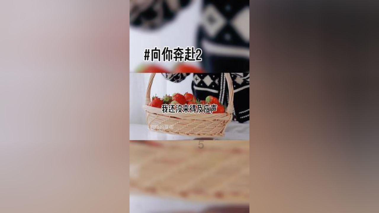 逃离石墙屋