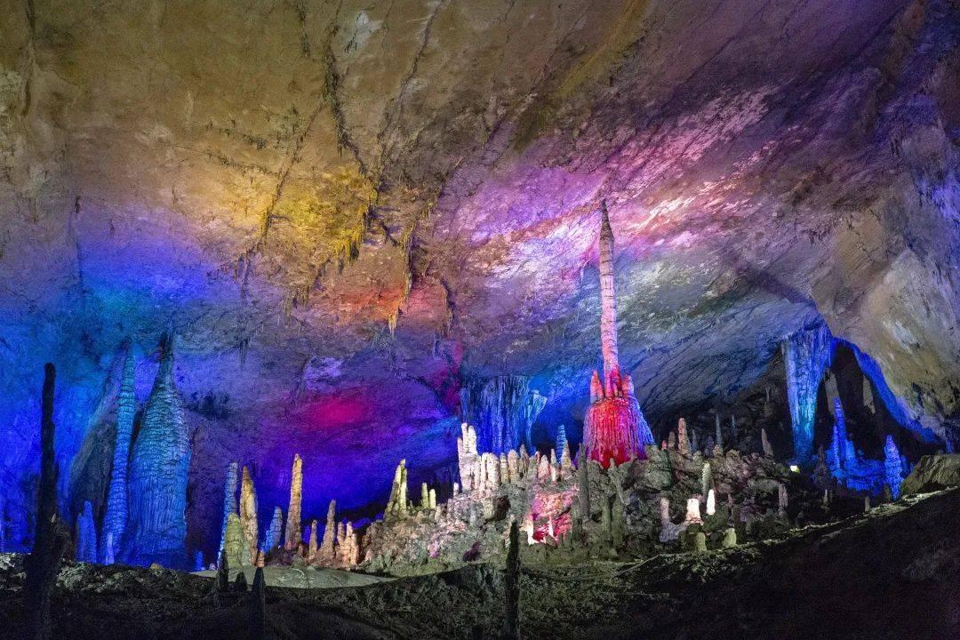 沪江开心词场