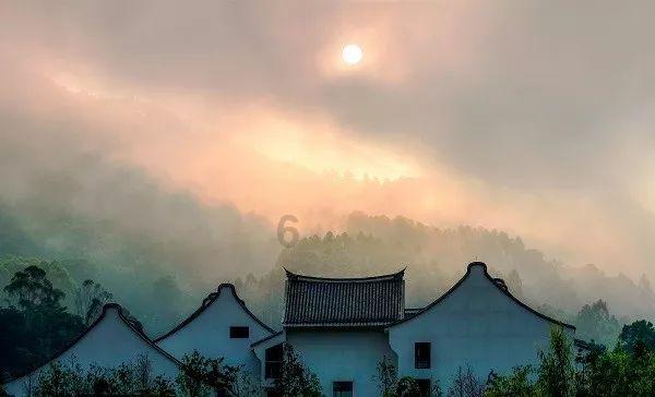 中国篮球最牛老板被重罚 不满判罚怒推+当众训斥主帅 名帅颜面尽失