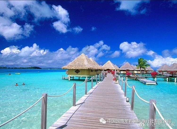 ELLE红毯：杨紫迪丽热巴引争议，异域女星美艳压群芳！