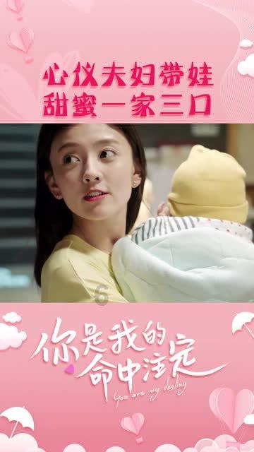小猫钓鱼正版下载中文版
