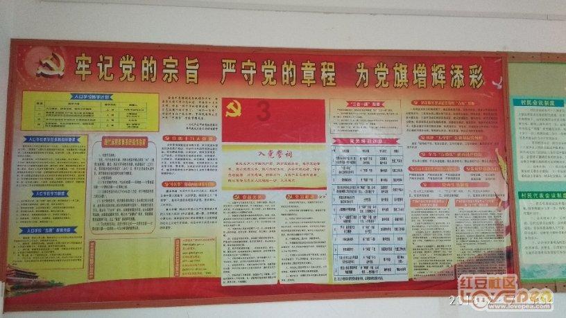 美人鱼游玩