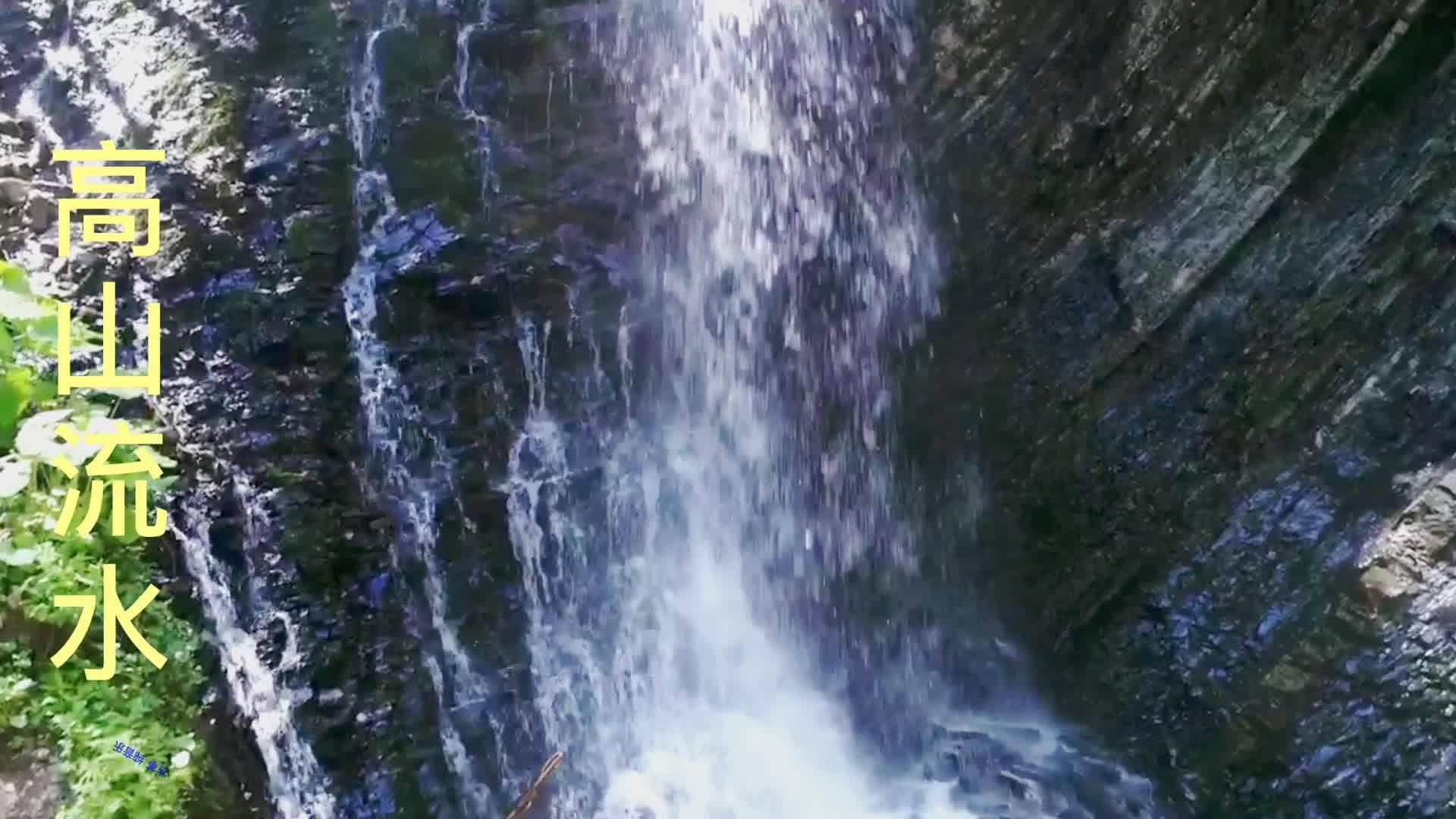 绿意盎然